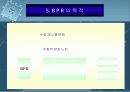 BPR시스템 12페이지