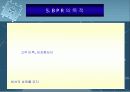 BPR시스템 13페이지