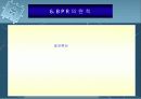 BPR시스템 14페이지