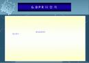 BPR시스템 15페이지