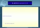 BPR시스템 19페이지