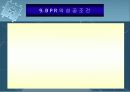 BPR시스템 20페이지