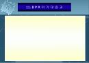 BPR시스템 22페이지