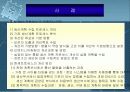 BPR시스템 26페이지