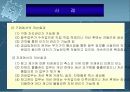 BPR시스템 29페이지