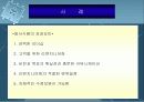 BPR시스템 31페이지