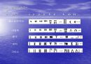 수의 탄생 14페이지