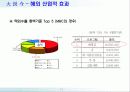  Window-Effect 사례연구 11페이지