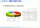  Window-Effect 사례연구 13페이지