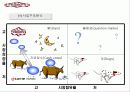 [마케팅] TGI Friday’s 의 성공적 마케팅 6페이지
