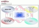 [마케팅] TGI Friday’s 의 성공적 마케팅 22페이지