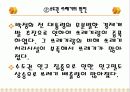 수도권 쓰레기 문제 4페이지