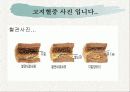 고지혈증 6페이지