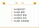 녹내장의 증상 및 치료 2페이지