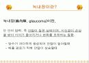 녹내장의 증상 및 치료 3페이지