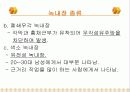 녹내장의 증상 및 치료 8페이지