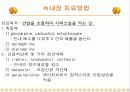 녹내장의 증상 및 치료 19페이지