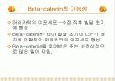 탈모의 원인 및 치료 13페이지