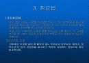 비만의 치료 8페이지