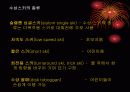 수상스키의 역사와 안전상식 4페이지