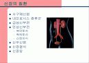 신장과 식이요법 파워포인트 7페이지