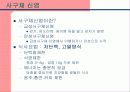 신장과 식이요법 파워포인트 9페이지