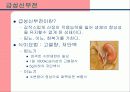 신장과 식이요법 파워포인트 11페이지