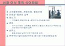 신장과 식이요법 파워포인트 19페이지