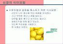 신장과 식이요법 파워포인트 25페이지