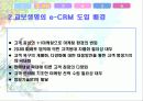 교보생명의 e-CRM 사례(A+레포트)★★★★★ 4페이지