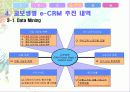 교보생명의 e-CRM 사례(A+레포트)★★★★★ 14페이지