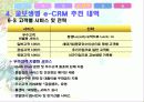 교보생명의 e-CRM 사례(A+레포트)★★★★★ 19페이지