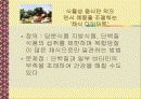 다이어트 종류 및 부작용(A+레포트) 9페이지