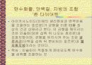 다이어트 종류 및 부작용(A+레포트) 11페이지