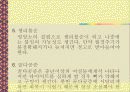 다이어트 종류 및 부작용(A+레포트) 17페이지