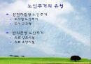 노인주거 정책 실태 및 현황, 문제점과 개선방안(A+레포트)★★★★★ 5페이지