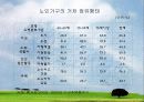 노인주거 정책 실태 및 현황, 문제점과 개선방안(A+레포트)★★★★★ 14페이지