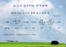 노인주거 정책 실태 및 현황, 문제점과 개선방안(A+레포트)★★★★★ 17페이지
