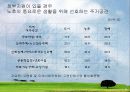 노인주거 정책 실태 및 현황, 문제점과 개선방안(A+레포트)★★★★★ 20페이지