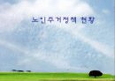 노인주거 정책 실태 및 현황, 문제점과 개선방안(A+레포트)★★★★★ 21페이지