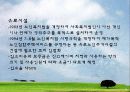 노인주거 정책 실태 및 현황, 문제점과 개선방안(A+레포트)★★★★★ 26페이지