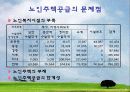 노인주거 정책 실태 및 현황, 문제점과 개선방안(A+레포트)★★★★★ 29페이지