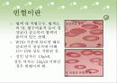 통풍,화상,빈혈 식사요법 23페이지