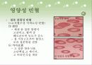 통풍,화상,빈혈 식사요법 29페이지