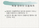 목재정유의 이용 2페이지