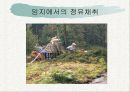 목재정유의 이용 3페이지