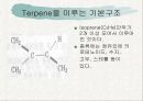 목재정유의 이용 5페이지