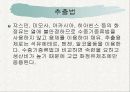 목재정유의 이용 8페이지