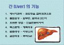 간염과 바이러스(A+레포트) 3페이지