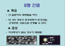 간염과 바이러스(A+레포트) 9페이지